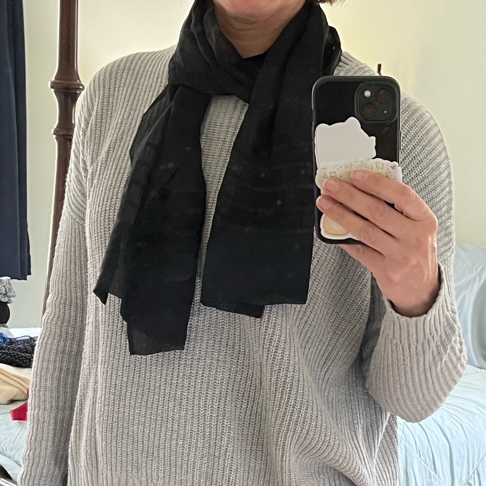 🎁Free with Purchase!🎁 Black Sheer Scarf with Satin Stripes